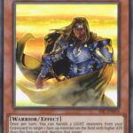 Freed the Brave Wanderer - IOC-EN014 - Super Rare Unlimited (25th Reprint)