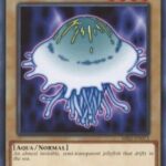 Jellyfish - MRD-EN072 - Common Unlimited (25th Reprint)