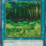 Forest - LOB-EN046 - Common Unlimited (25th Reprint)