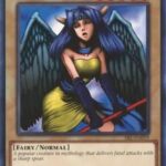 Dark Witch - SRL-EN019 - Common Unlimited (25th Reprint)