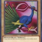 Peacock - SRL-EN011 - Common Unlimited (25th Reprint)