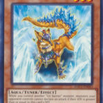 Defender of the Ice Barrier - HAC1-EN043 - Common 1st Edition