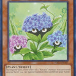 Naturia Hydrangea - HAC1-EN107 - Common 1st Edition