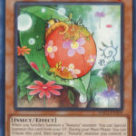 Naturia Ladybug - HAC1-EN109 - Common 1st Edition