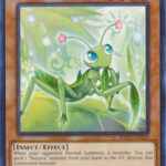 Naturia Mantis - HAC1-EN113 - Common 1st Edition