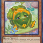 Naturia Pumpkin - HAC1-EN117 - Common 1st Edition
