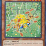 Naturia Spiderfang - HAC1-EN098 - Common 1st Edition