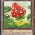 Naturia Strawberry - HAC1-EN110 - Common 1st Edition