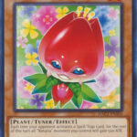 Naturia Tulip - HAC1-EN104 - Common 1st Edition