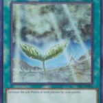 Rain of Mercy - PSV-EN065 - Common Unlimited (25th Reprint)